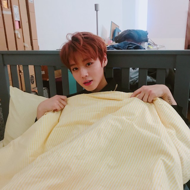 wannaone朴志训生日快乐