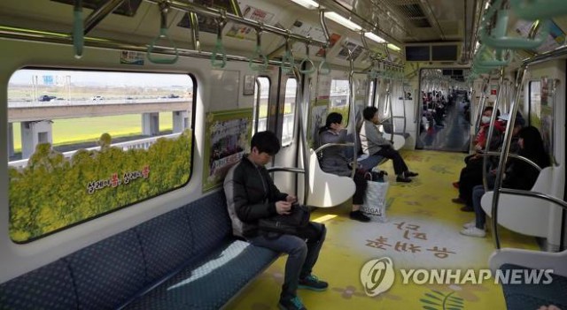釜山油菜花列車