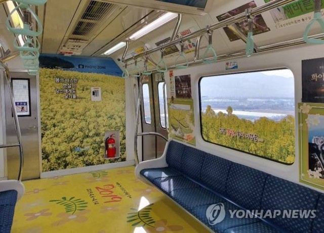 釜山油菜花列車