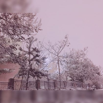 JANE 拍攝的雪景