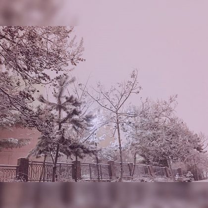 JANE 拍攝的雪景