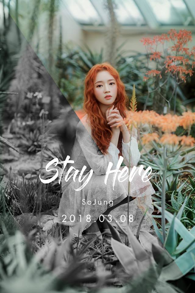 So Jung《Stay Here》宣傳照