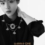 朴志訓朴佑鎮《0+1=1》特別版概念照