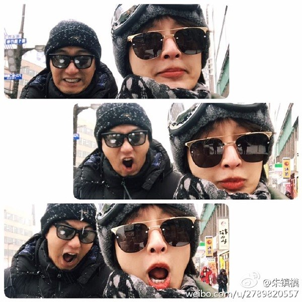 朱鎮模、張儷