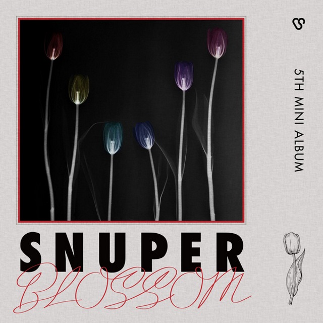 SNUPER 迷你五輯《BLOSSOM》封面照