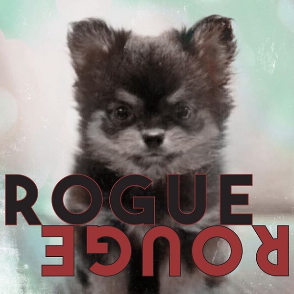 Amber《Rogue Rouge》封面
