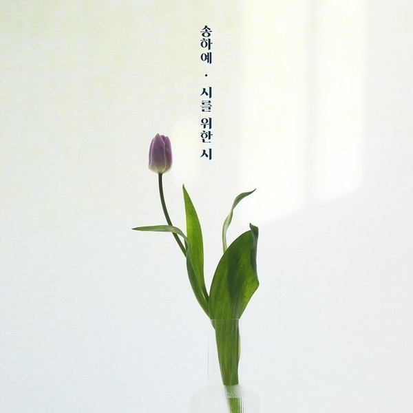Song Ha Ye《為了詩的詩》封面
