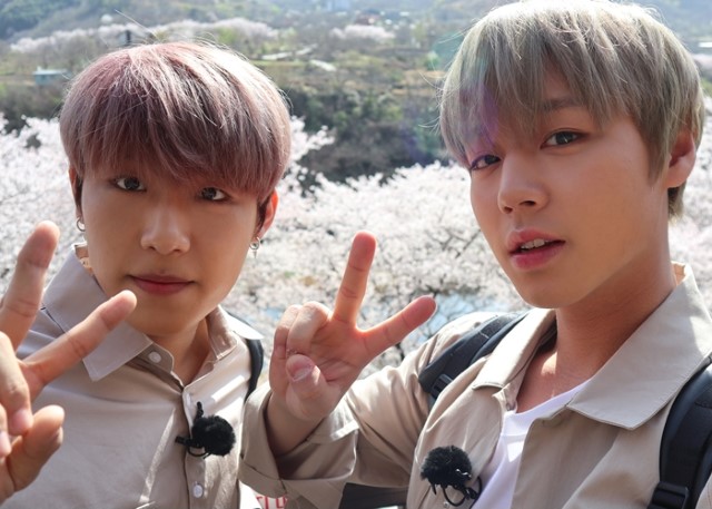 朴志訓、朴佑鎮