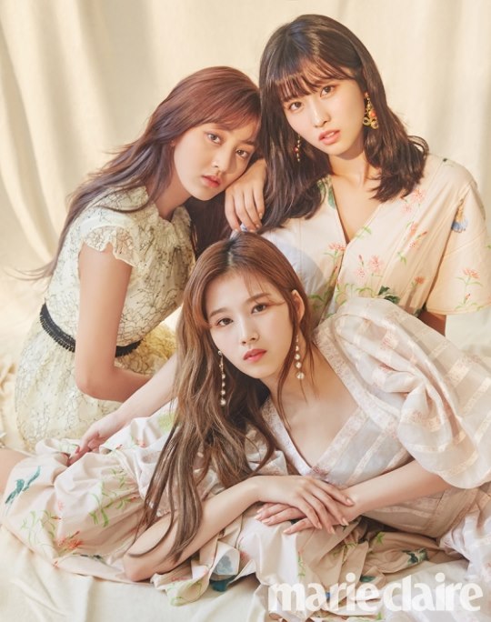 志效、SANA、MOMO