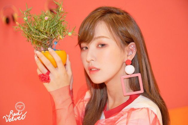 Wendy《Summer Magic》概念照