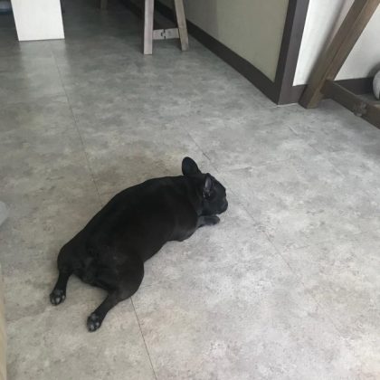 強仁