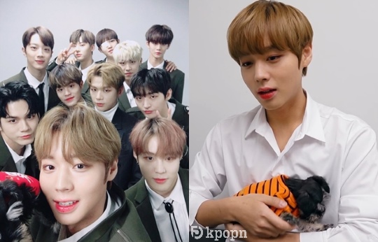 Wanna One、朴志訓