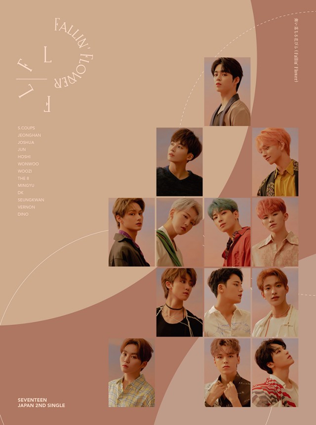 SEVENTEEN《Fallin' Flower》CARAT盤