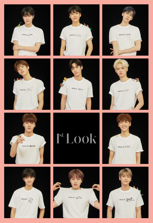 X1《1st Look》畫報