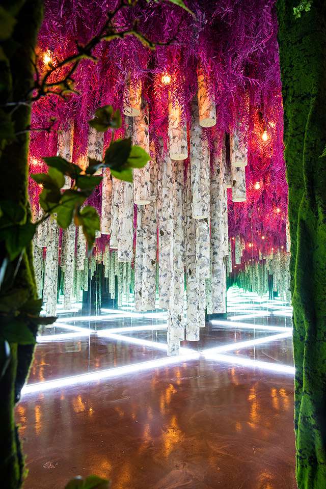 beauty inside 展覽