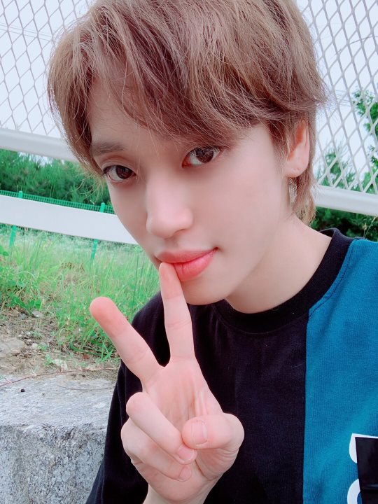 Niel