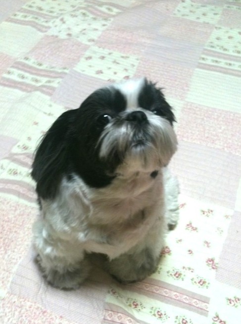 Park Bom 的 Choco