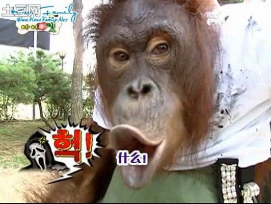 kara_I Love Pet_4
