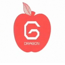 G-Dragon