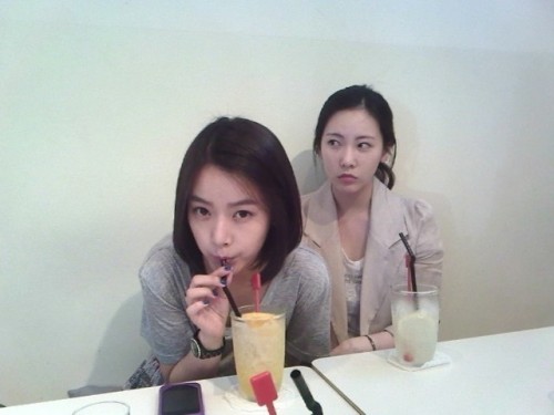 t-ara
