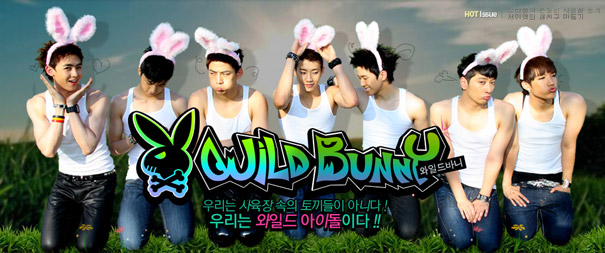 Wild Bunny 01 Wild Bunny 01