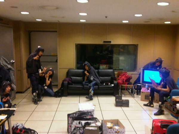 2pm cat