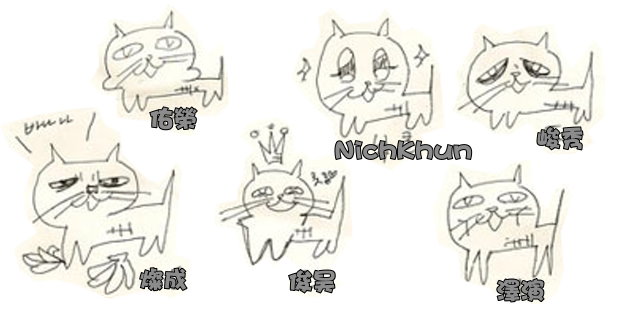 2pm cat
