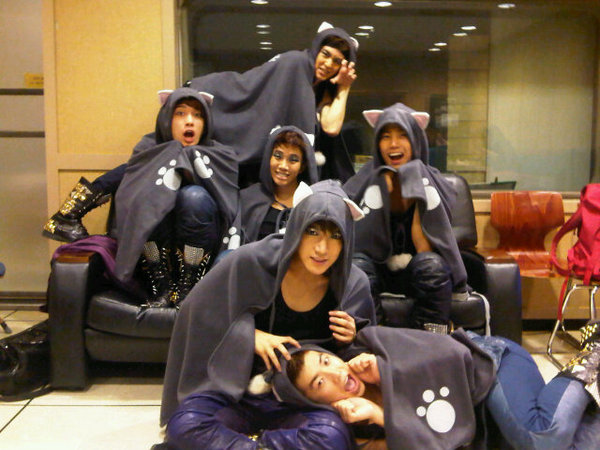 2pm cat