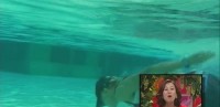 維尼我結特報