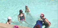維尼我結特報