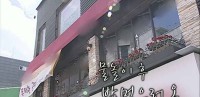 維尼我結特報