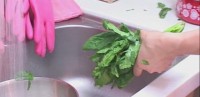 亞當我結特報
