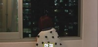 亞當我結特報