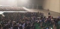 維尼我結特報