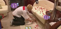 維尼我結特報