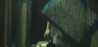 維尼我結特報