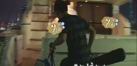 維尼我結特報