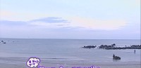 維尼我結特報
