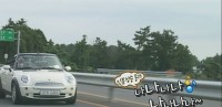 亞當我結特報