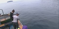 亞當我結特報