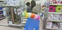 維尼我結特報