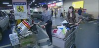 維尼我結特報