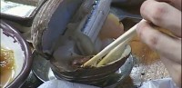 維尼我結特報