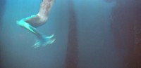 美人魚