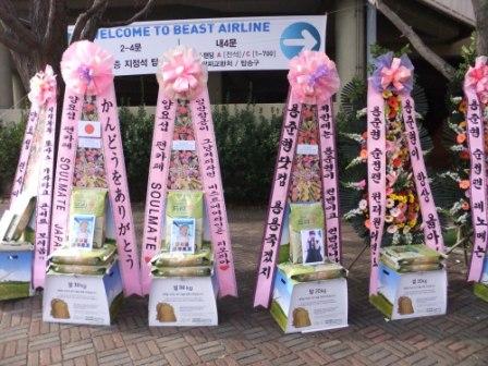 Beast Airline Concert