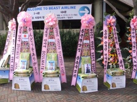Beast Airline Concert Beast Airline Concert