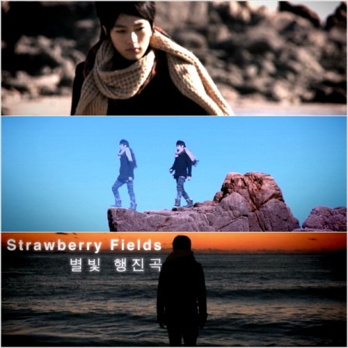 straberry fields_L straberry fields_L
