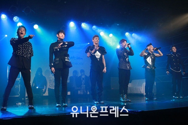 Dalmatian Showcase