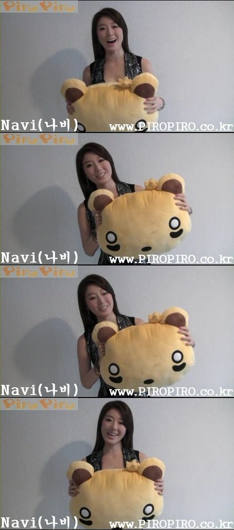 Navi Navi