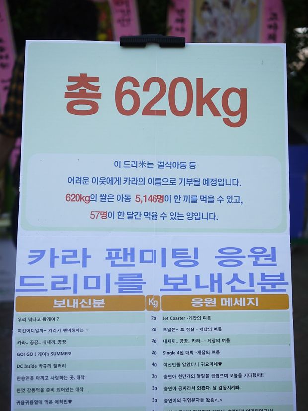 KARA Fanmeeting後記